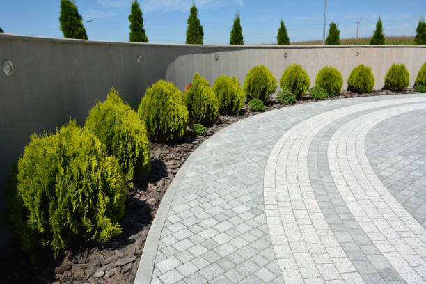 Best Residential Paver Driveway  in Chadbourn, NC